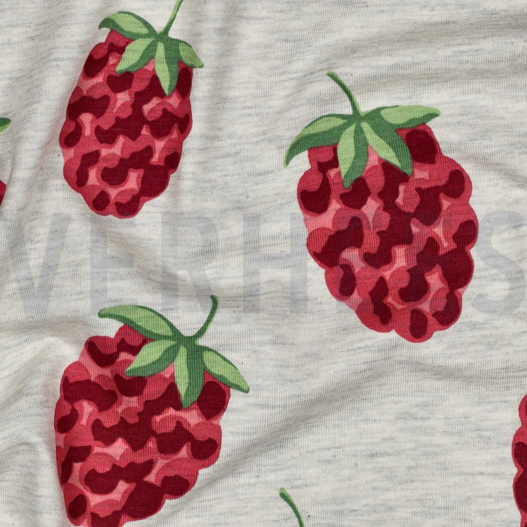 JERSEY GEMÊLEERD FRAMBOZEN ECRU #7