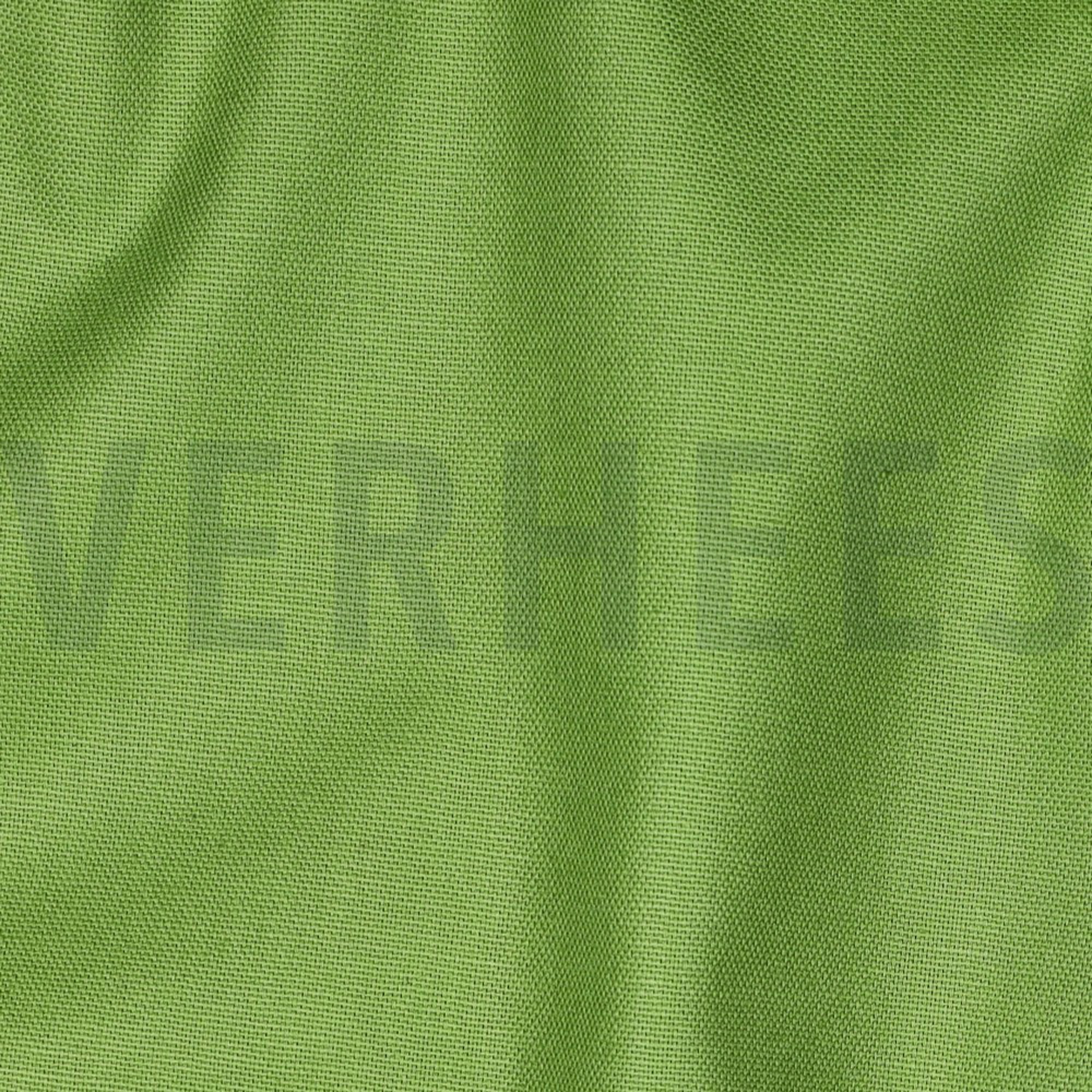 CANVAS LIMETTE (high resolution) #2