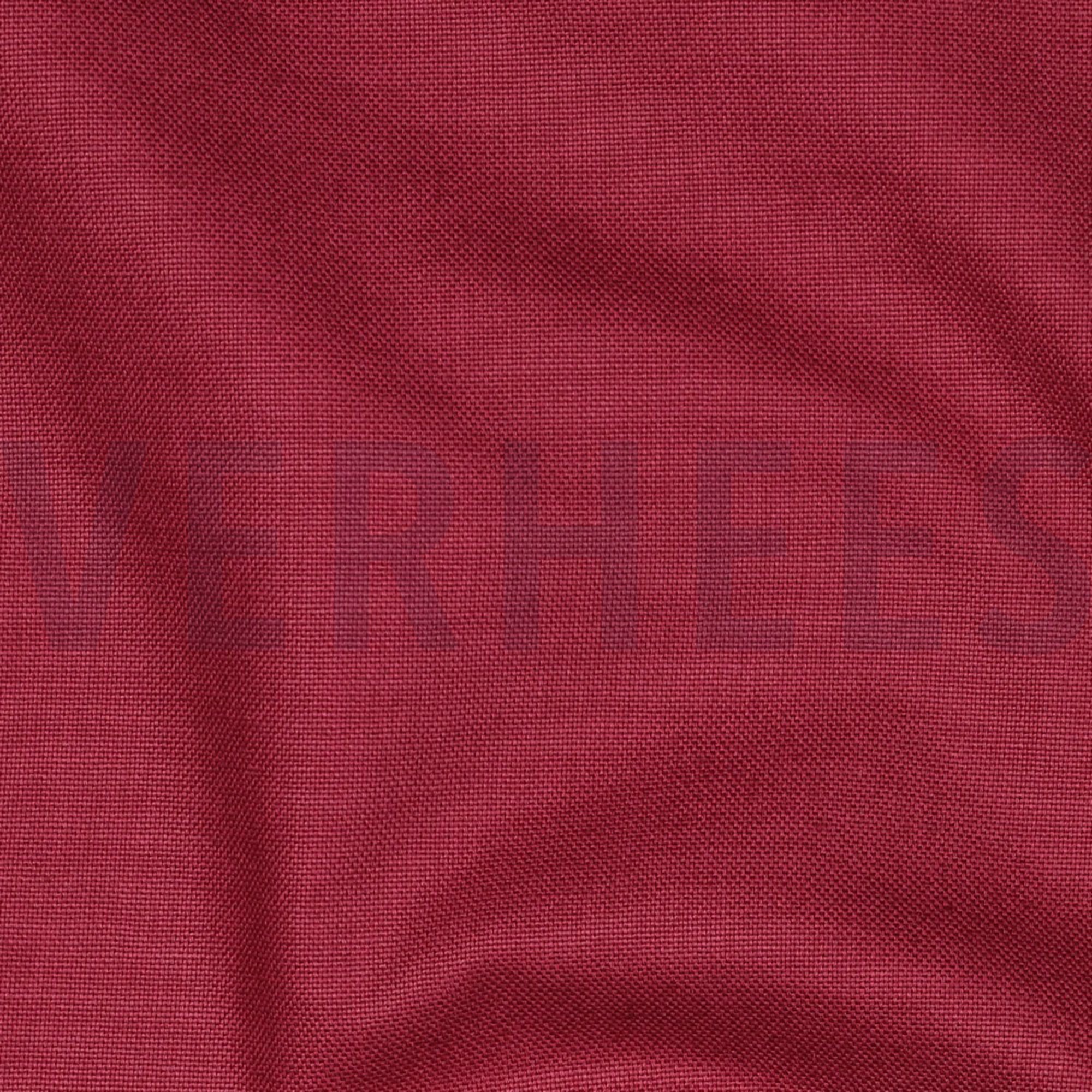 CANVAS BIETROOD (high resolution) #2