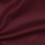 CANVAS AUBERGINE (thumbnail) #2