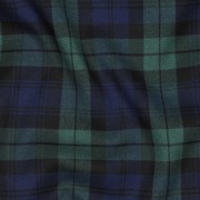 TARTAN CHECK GREEN (thumbnail) #2