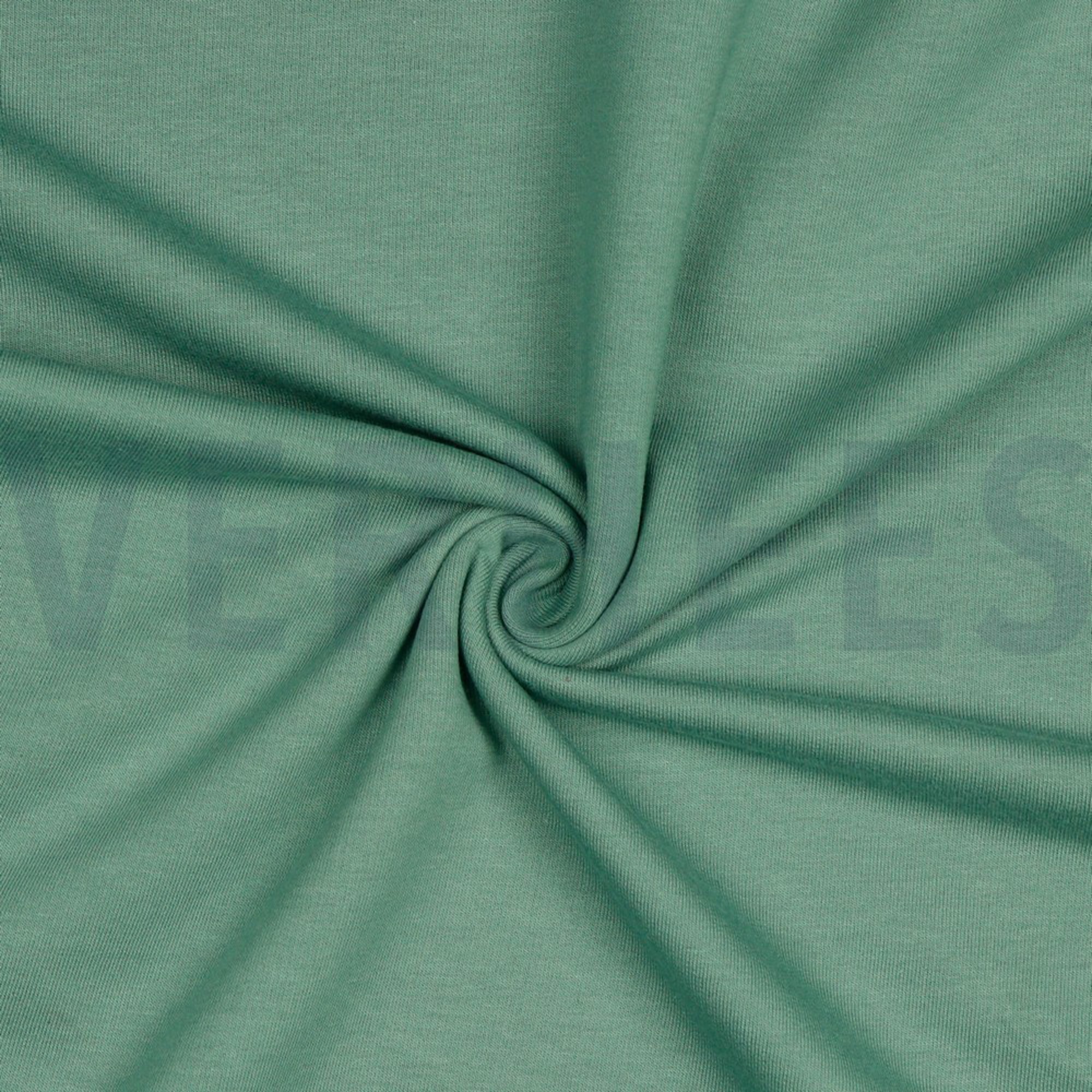 SWEAT ALTGRÜN (high resolution) #2