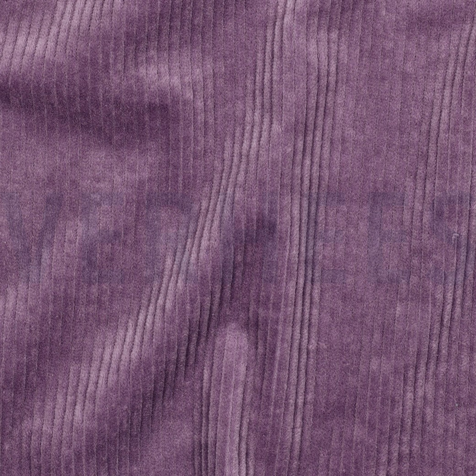 CORD GEWASCHEN 6W STRETCH LILA (high resolution) #2