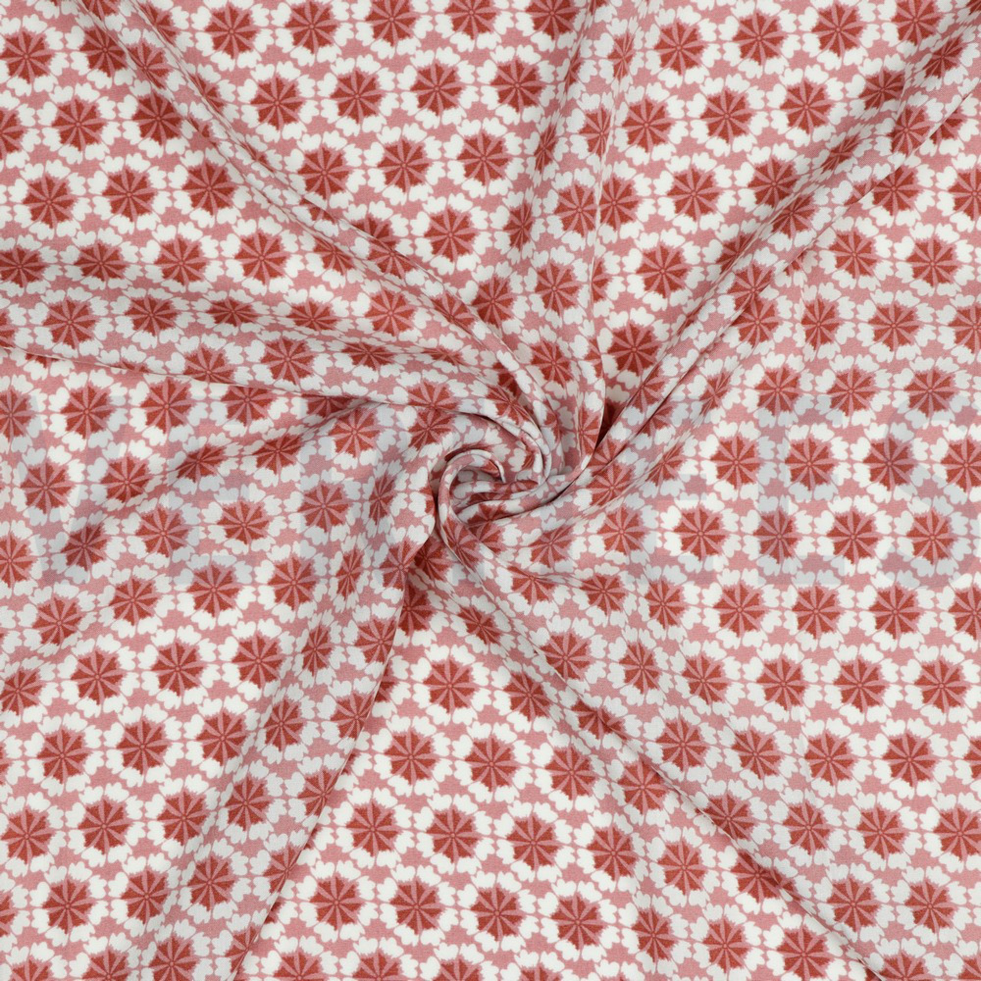 VISCOSE RADIANCE BLUSH (high resolution) #2