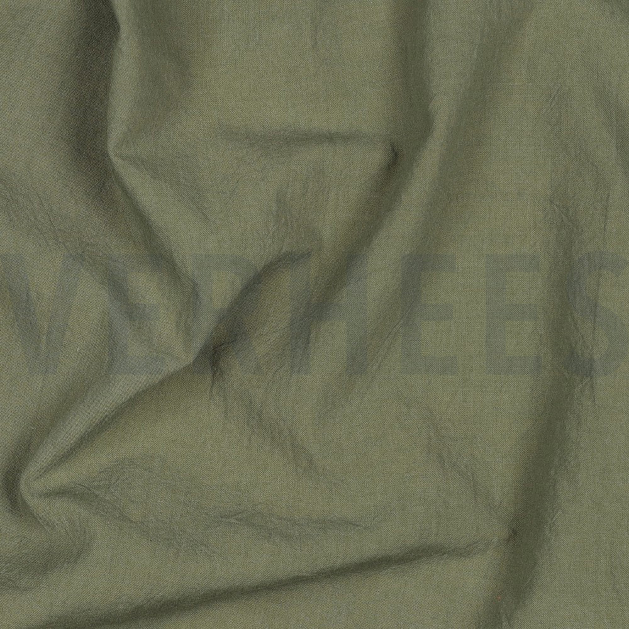 KATOEN GEWASSEN AUGURK (high resolution) #2