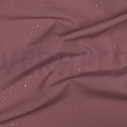 TASLAN WATERAFSTOTEND ROZENHOUT (thumbnail) #2