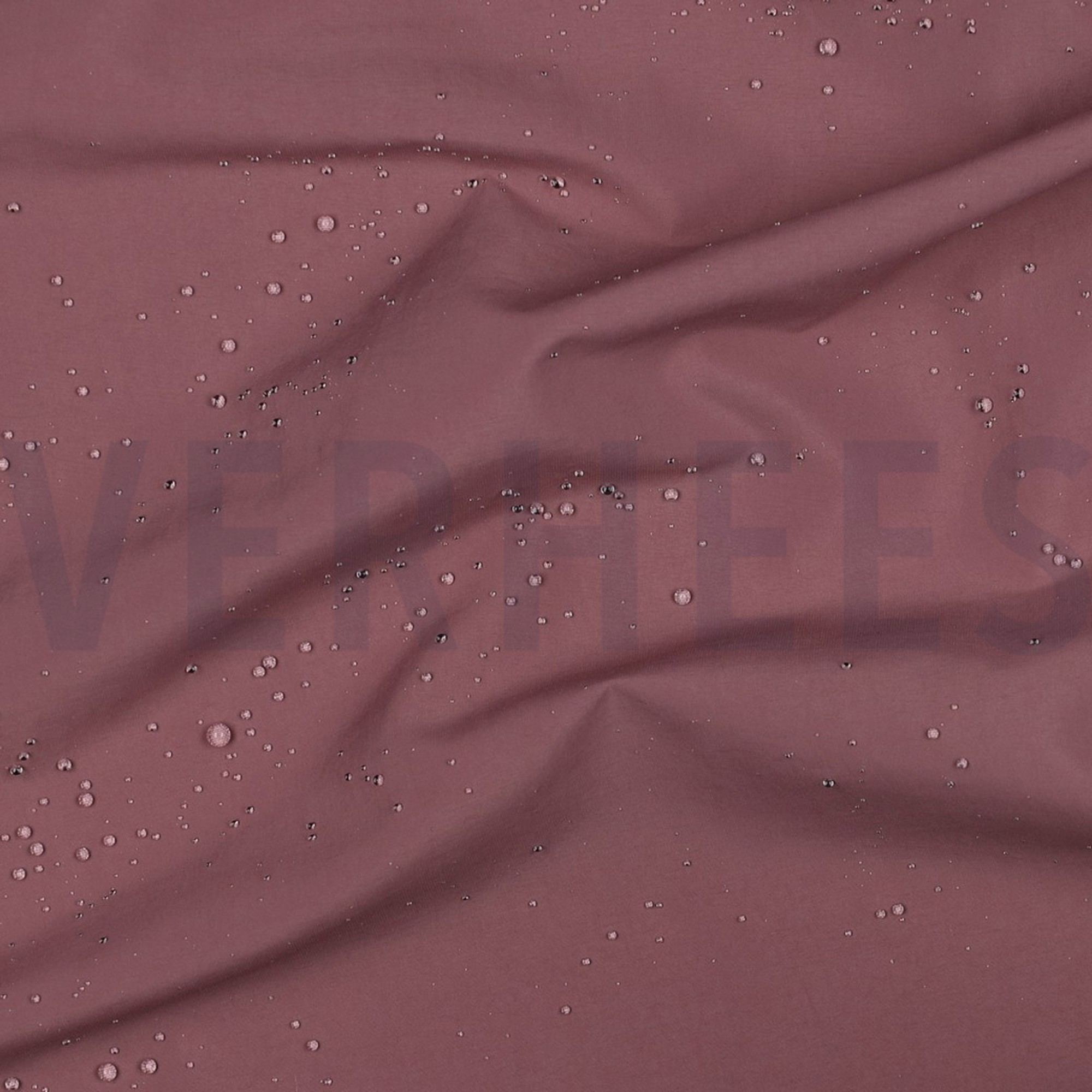 TASLAN WATERAFSTOTEND ROZENHOUT (high resolution) #2