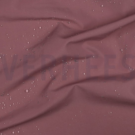 TASLAN WATERAFSTOTEND ROZENHOUT #7