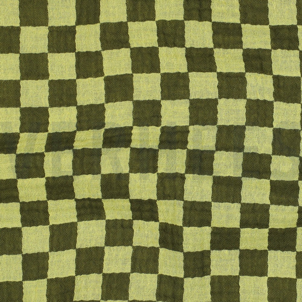 DOUBLE GAUZE DUBBELZIJDIGE RUITEN GROEN #7