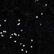 PAILLETTEN SAMT SCHWARZ (thumbnail) #2