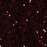 PAILLETTEN FLUWEEL BORDEAUXROOD (thumbnail) #2