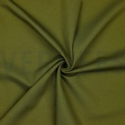 PUNTA DI ROMA OLIJF (thumbnail) #2