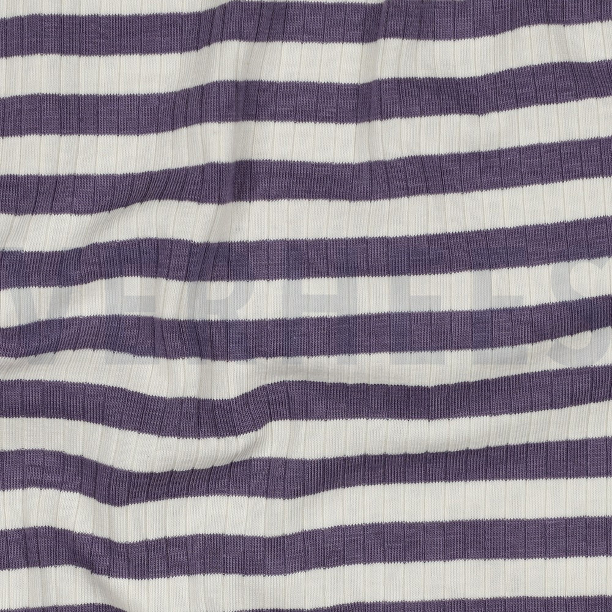 RIB YARN DYED STRIPES GRAPE (high resolution) #2