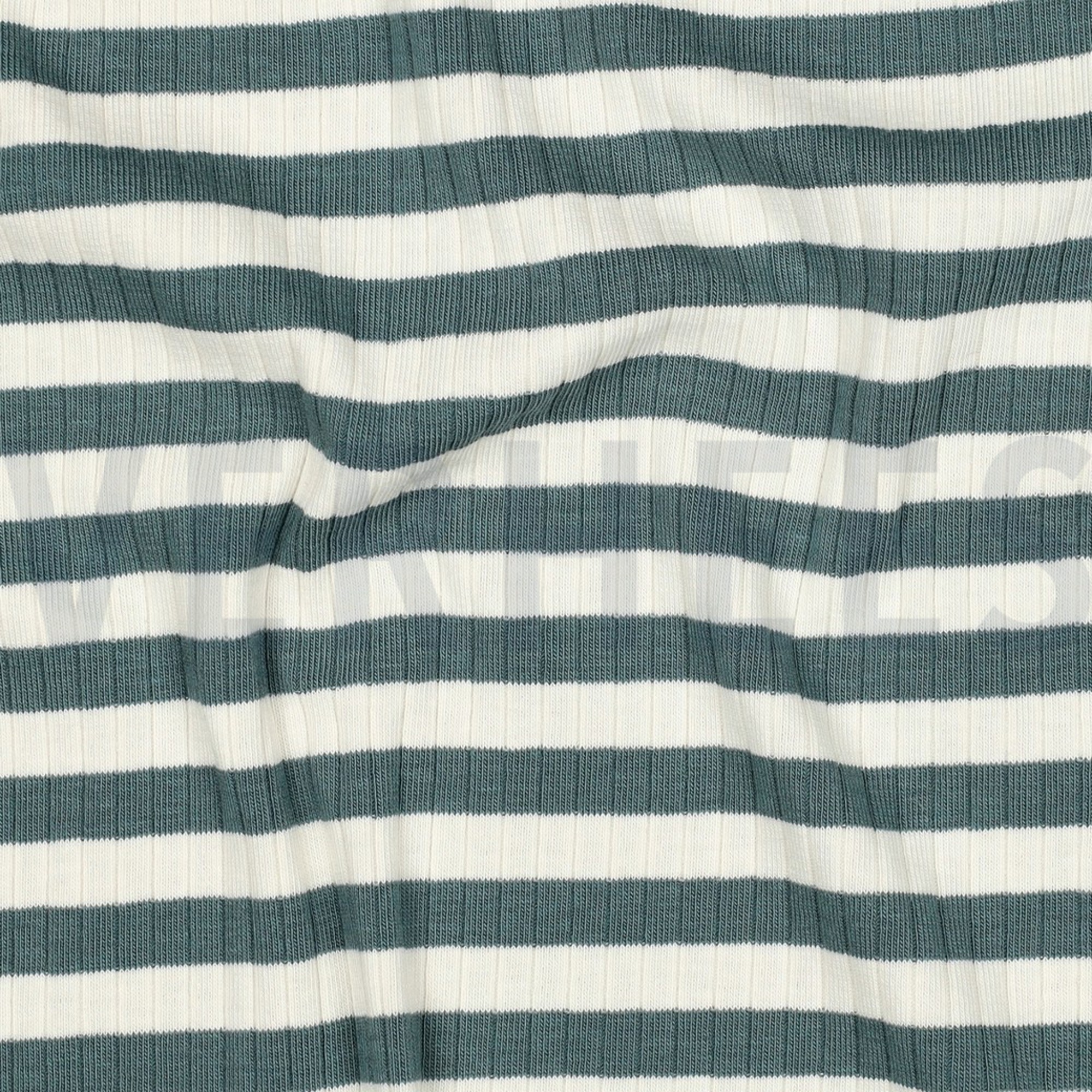 RIB YARN DYED STRIPES PETROL (high resolution) #2