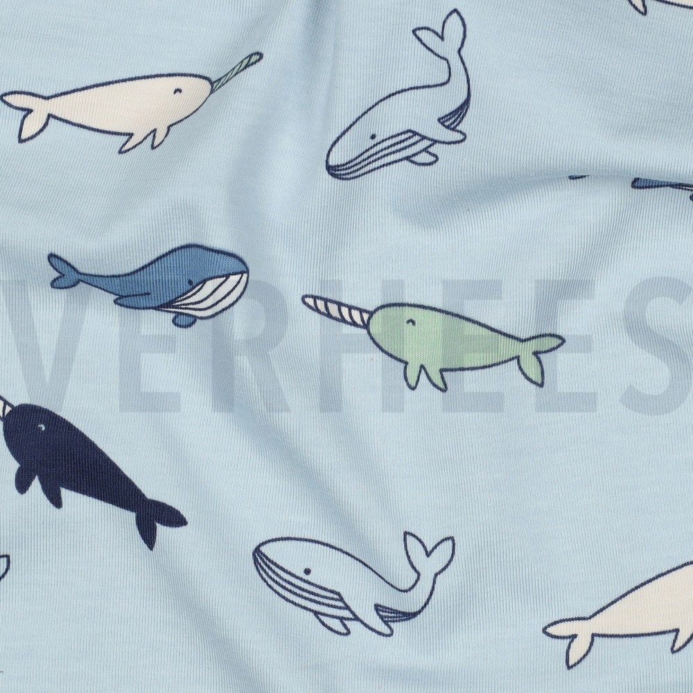 JERSEY BALEINES BLEU CLAIR #7