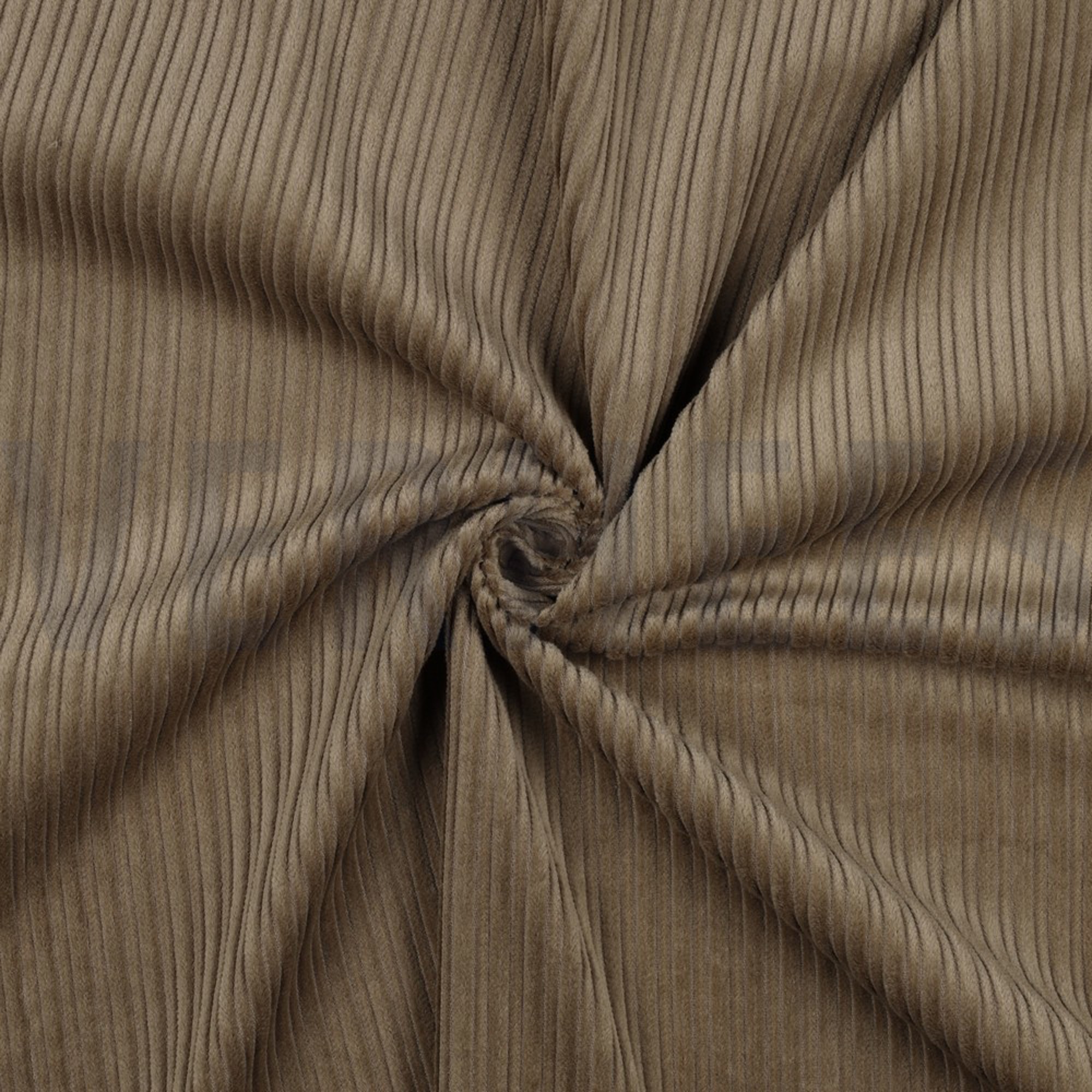 CORDUROY BEIGE (high resolution) #2