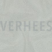 ROYAL TULE GLITTER ECRU (thumbnail) #2