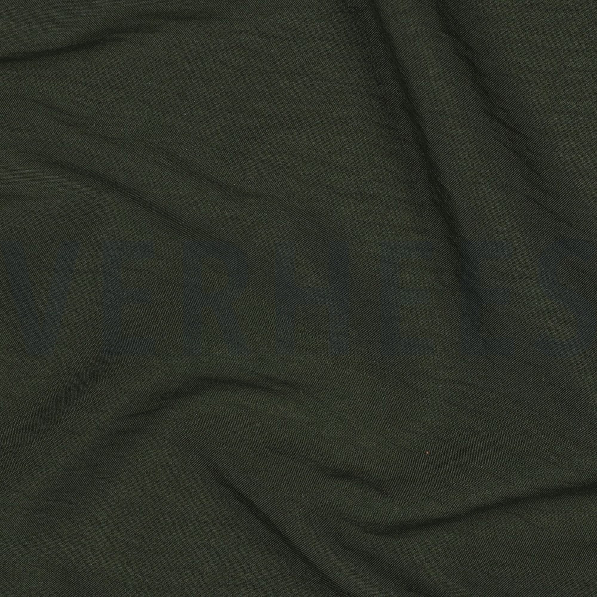 PAPILLON DONKERGROEN (high resolution) #2