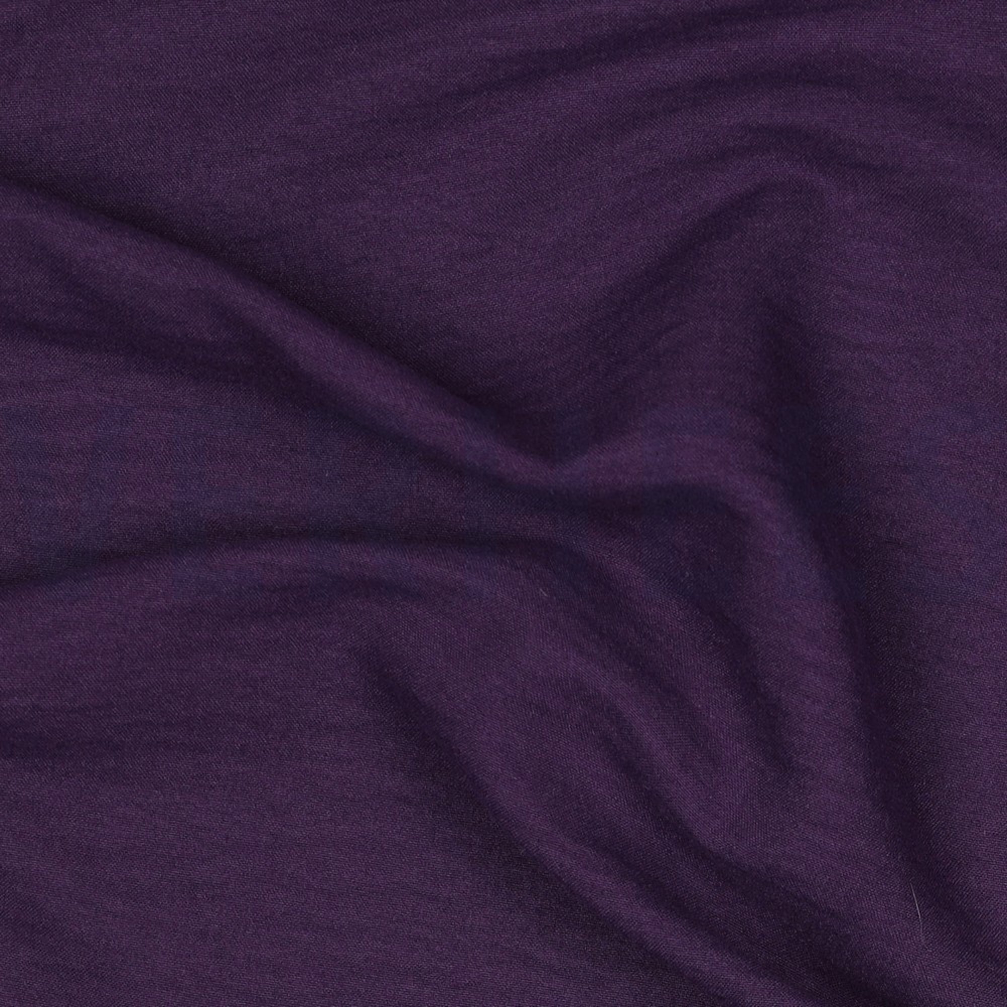 PAPILLON DONKERPAARS (high resolution) #2