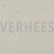 OUTDOOR WATERPROOF ECRU (thumbnail) #2