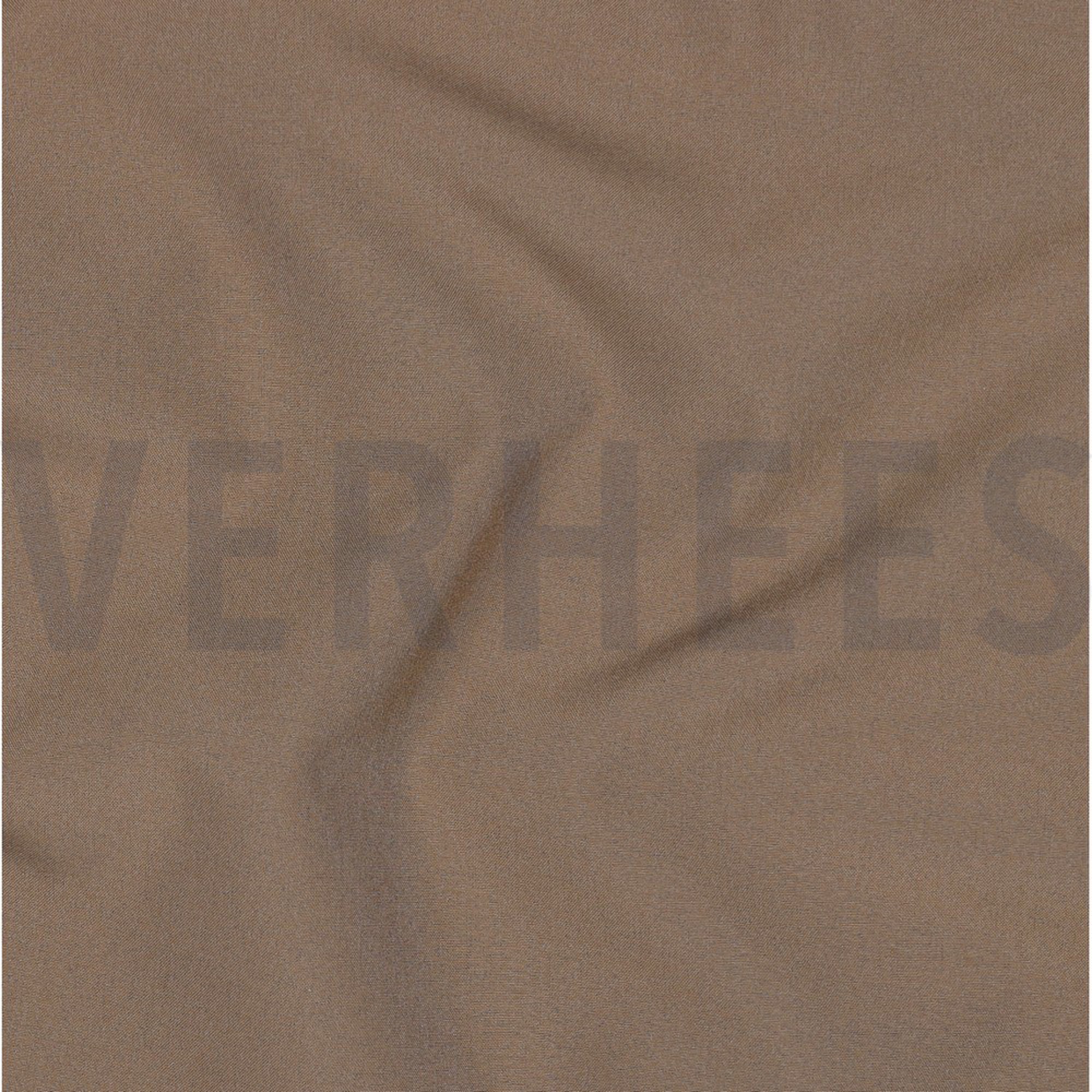 SOFTSHELL 3-LAAGS TAUPE (high resolution) #2