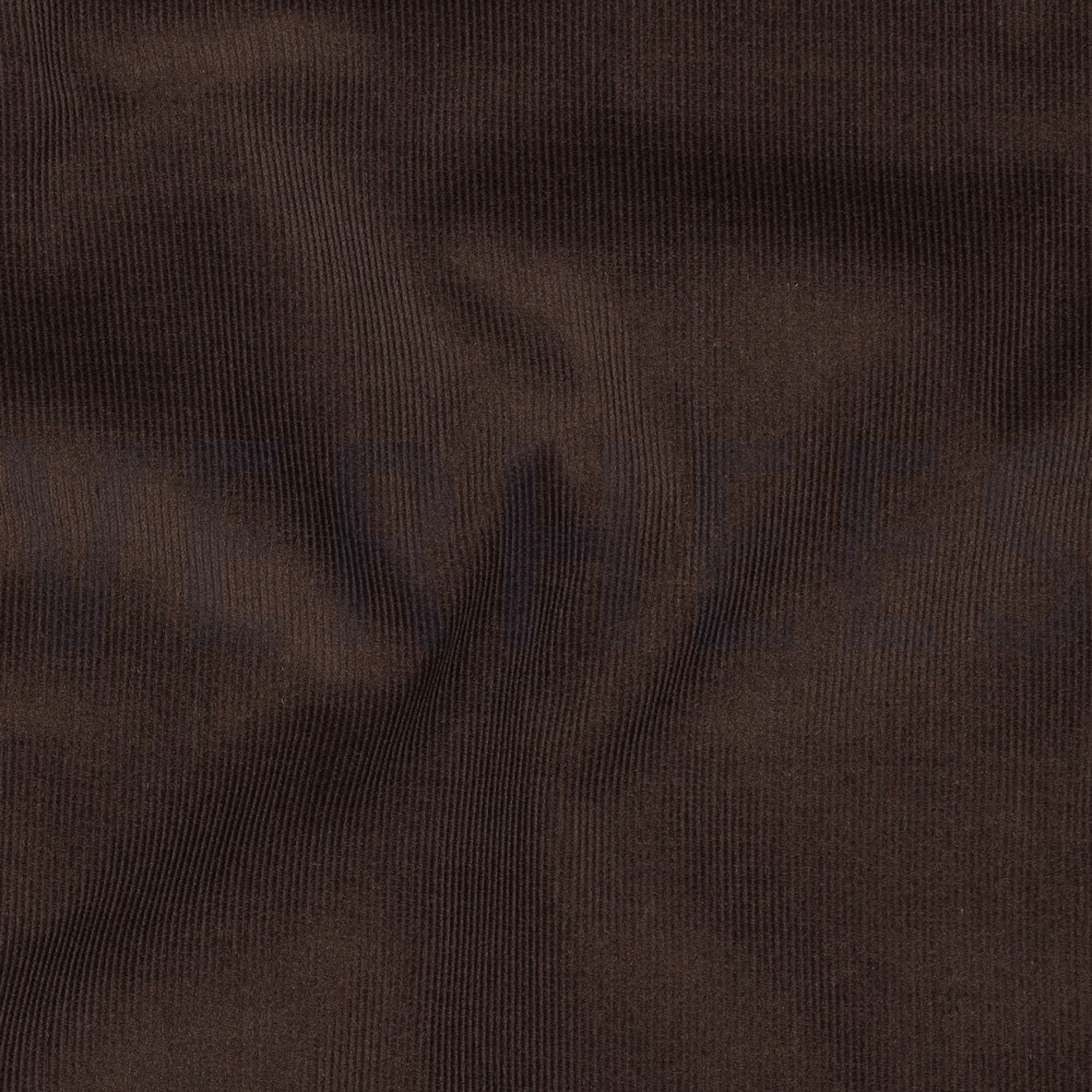 CORDUROY BABYRIB 21W DONKERBRUIN (high resolution) #2