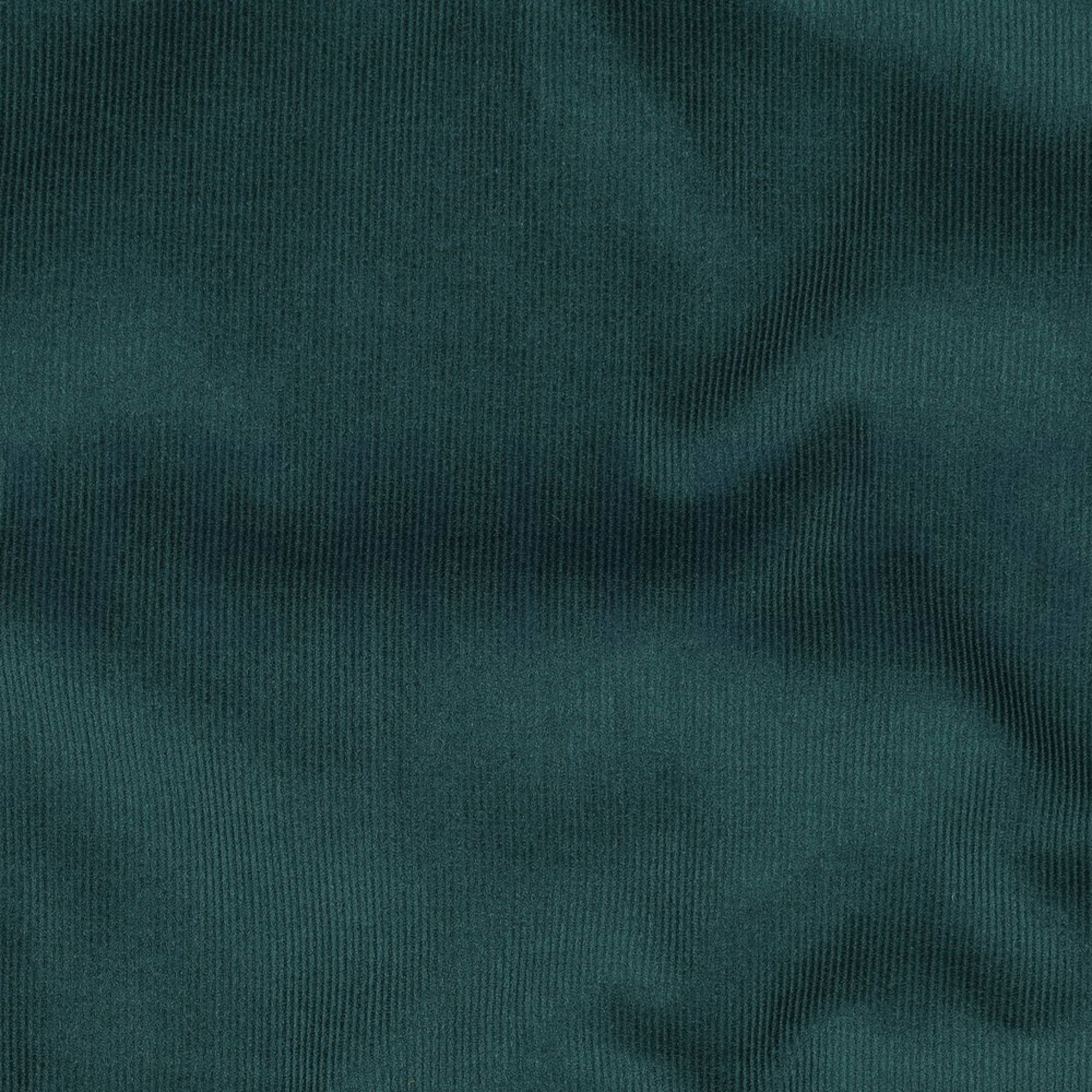 CORDUROY BABYRIB 21W DENNEGROEN (high resolution) #2