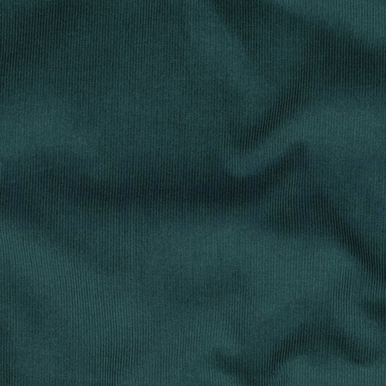 CORDUROY BABYRIB 21W DENNEGROEN #7