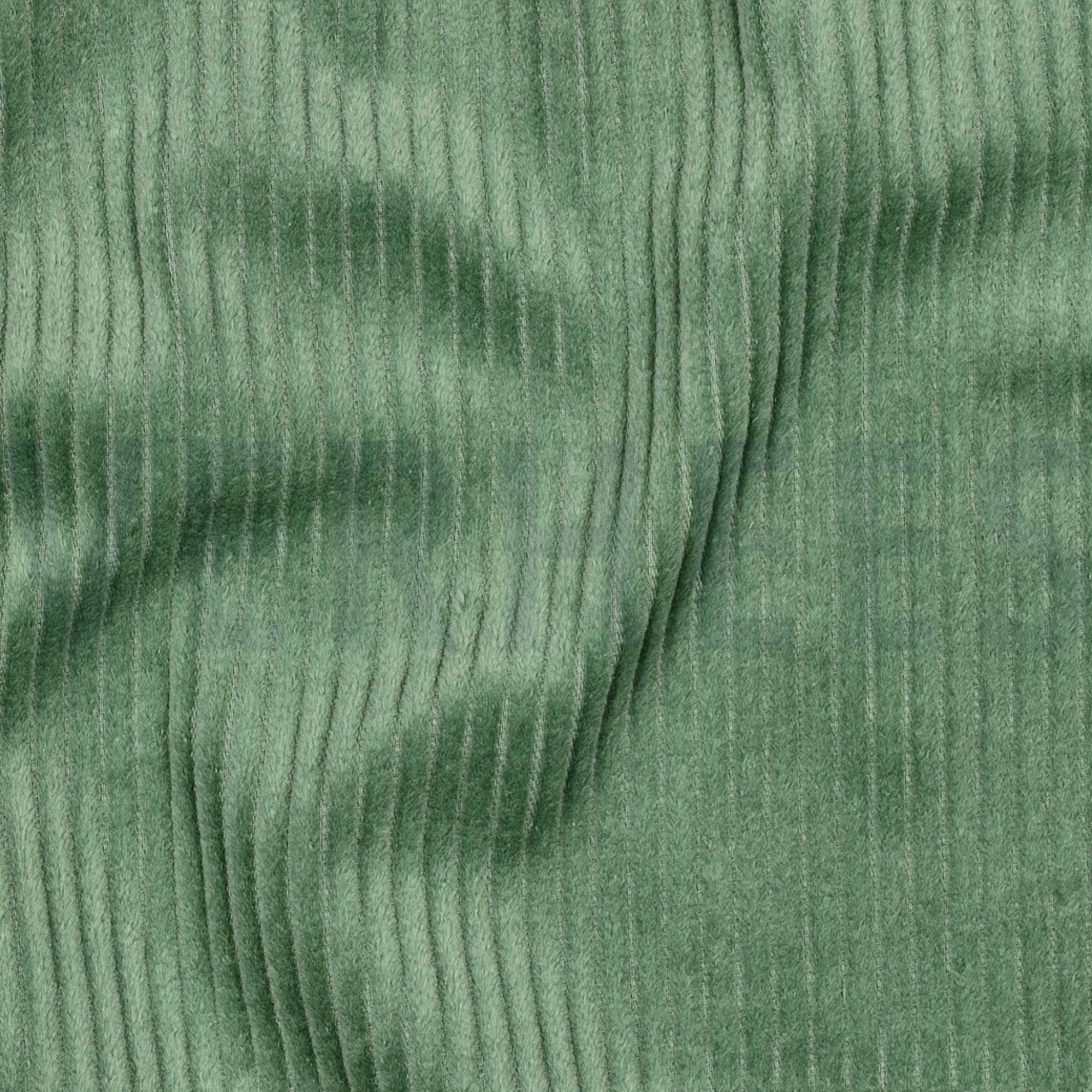 WASHED CORDUROY 4.5W BASIL (high resolution) #2