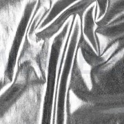 FÊTE ARGENT (thumbnail) #2