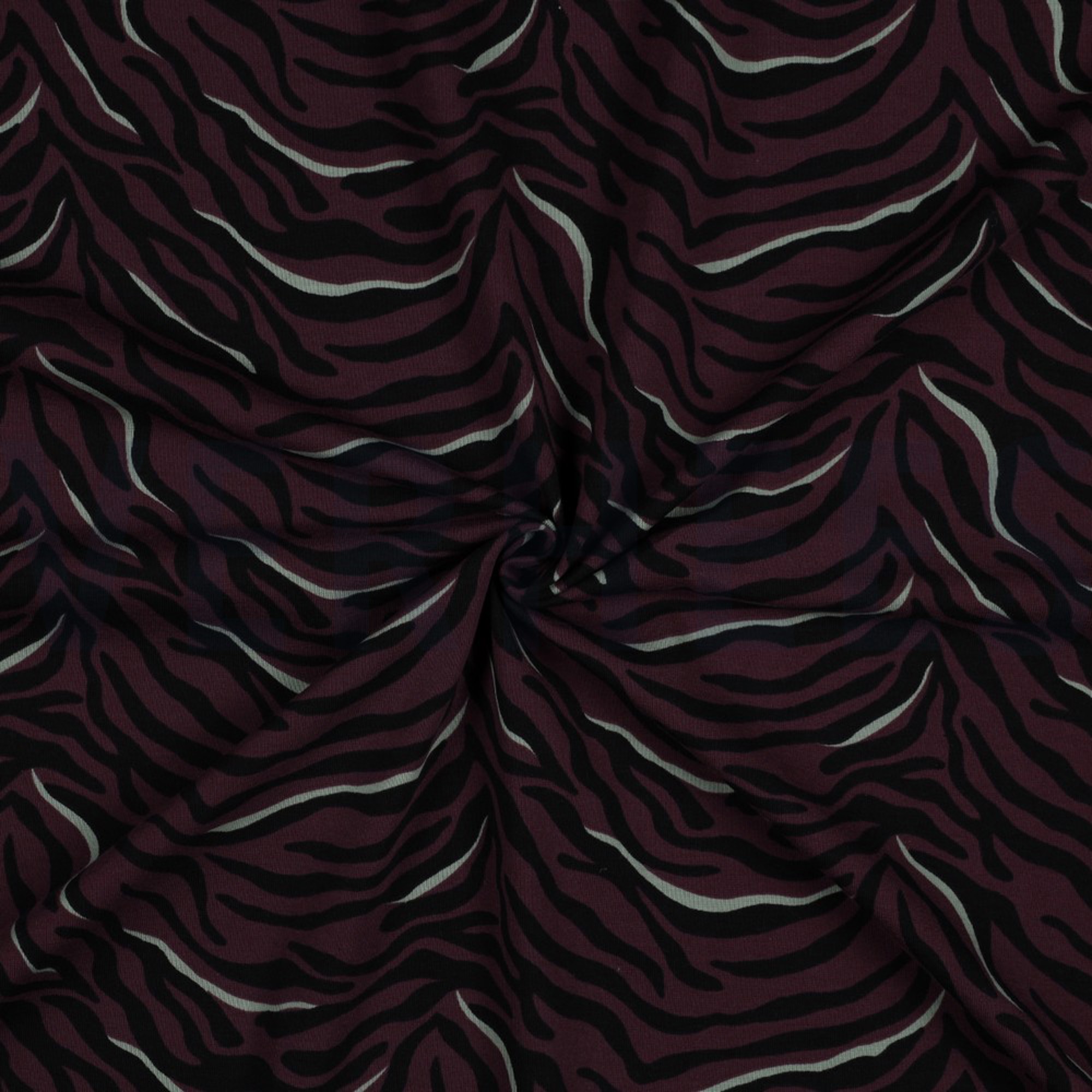 JERSEY ZEBRA MOERBEI (high resolution) #2