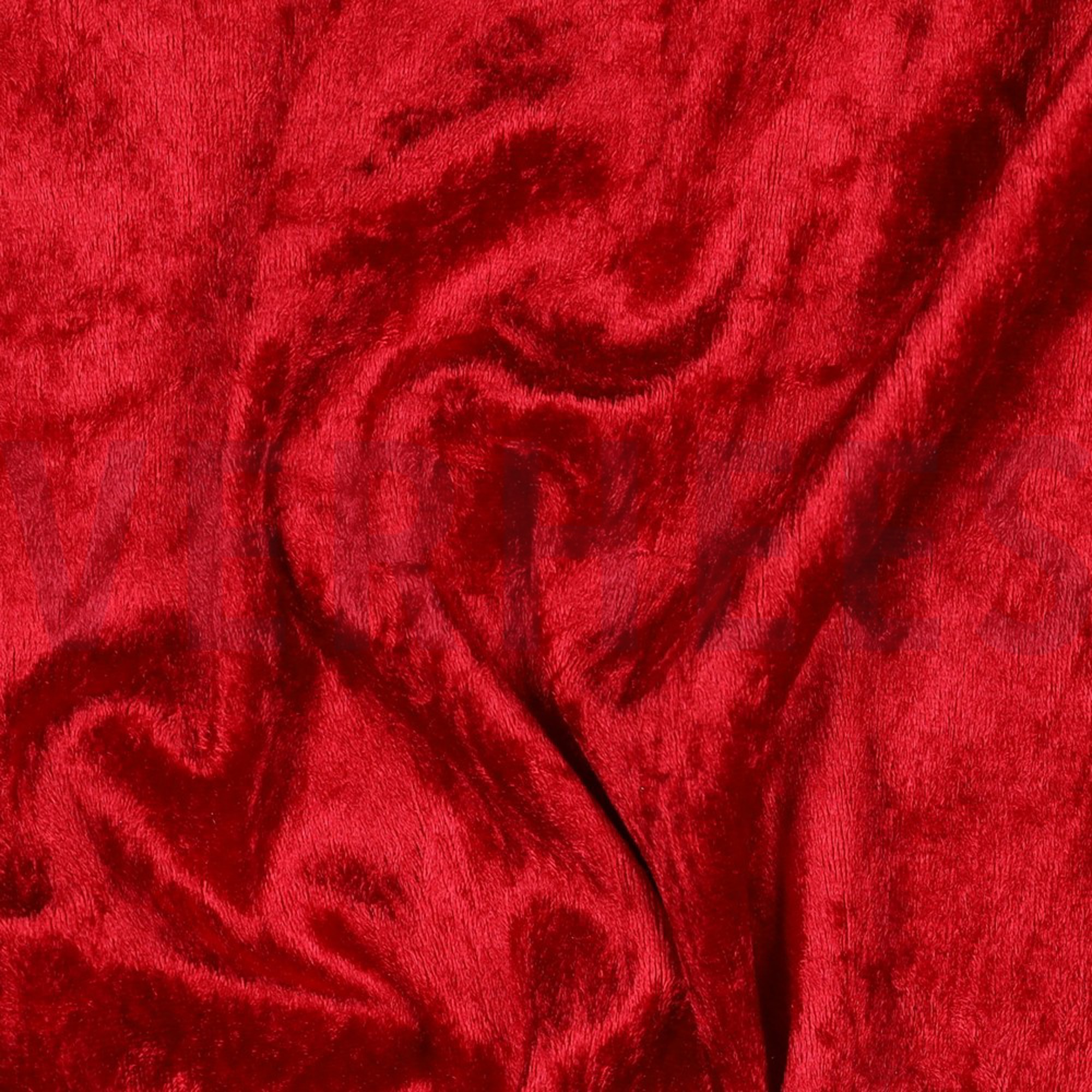 VELOURS DE PANNE WIJNROOD (high resolution) #2