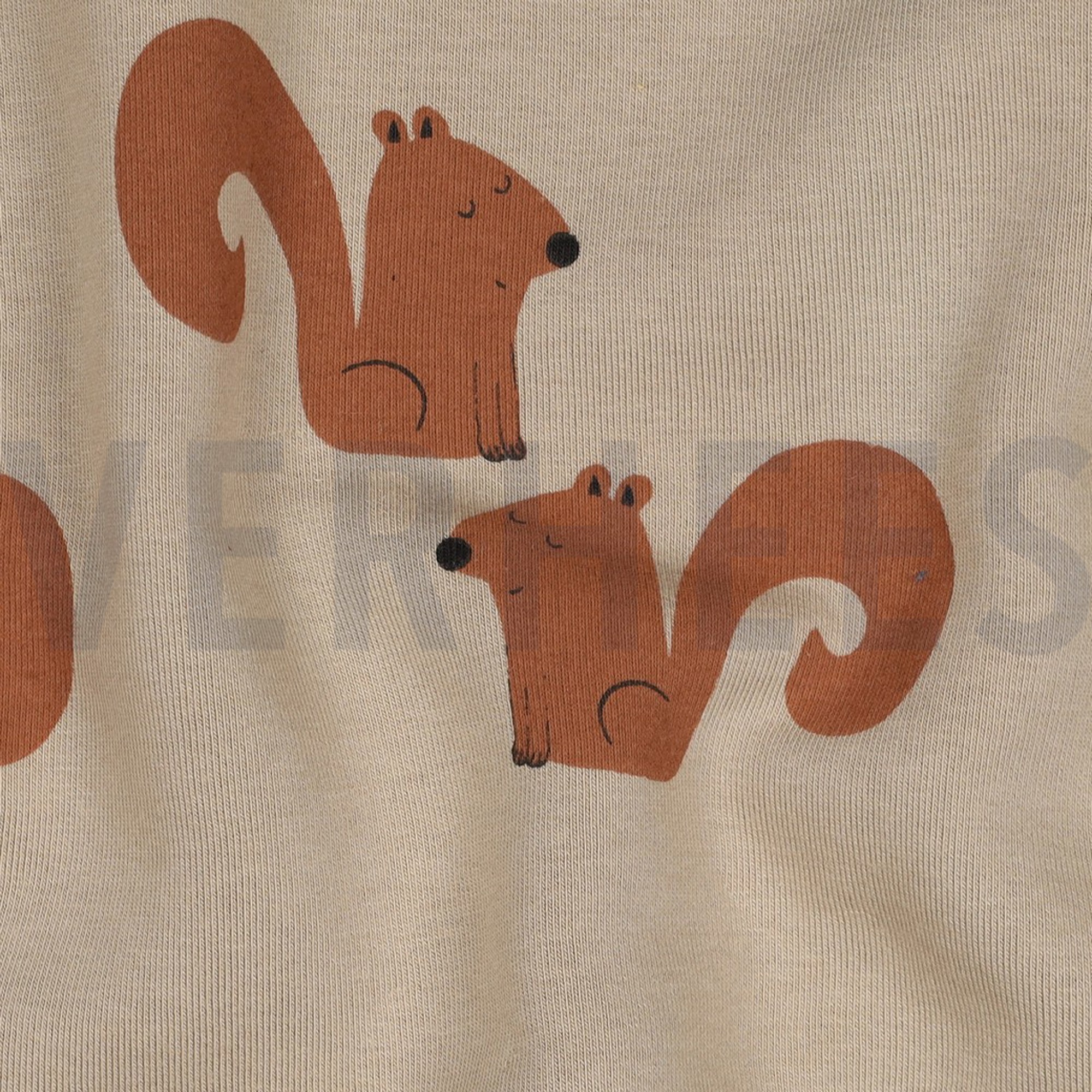 JOGGING SQUIRRELS SAND (high resolution) #2