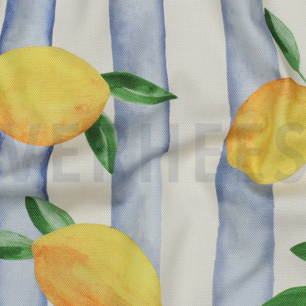 CANVAS DIGITAL LEMONS BLUE #7