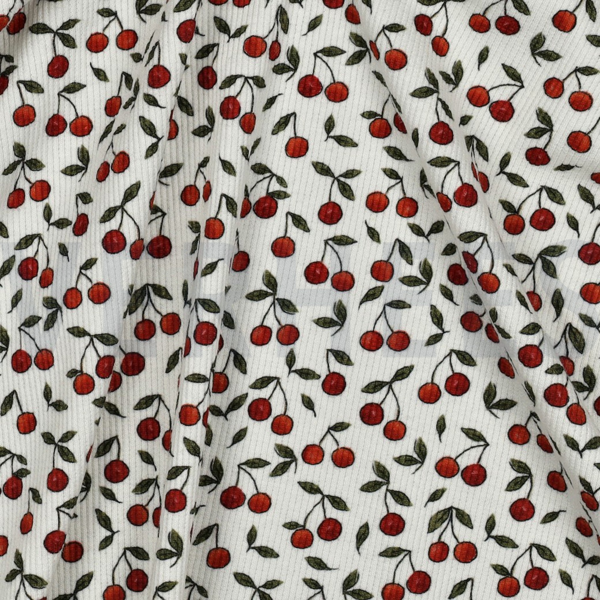 RIB JERSEY DIGITAL CHERRIES OFFWHITE (high resolution) #2