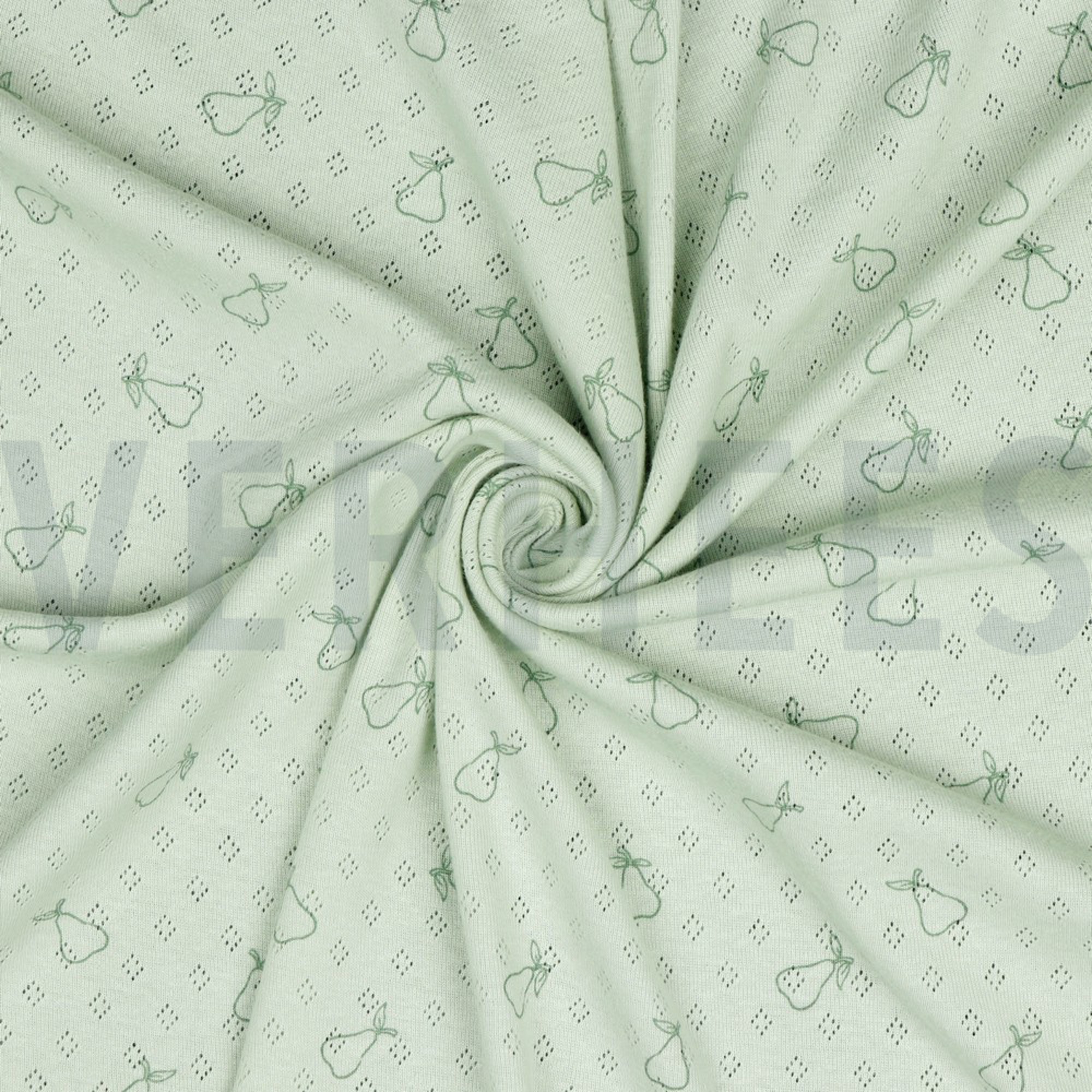 POINTOILLE PEER NILEGROEN (high resolution) #2