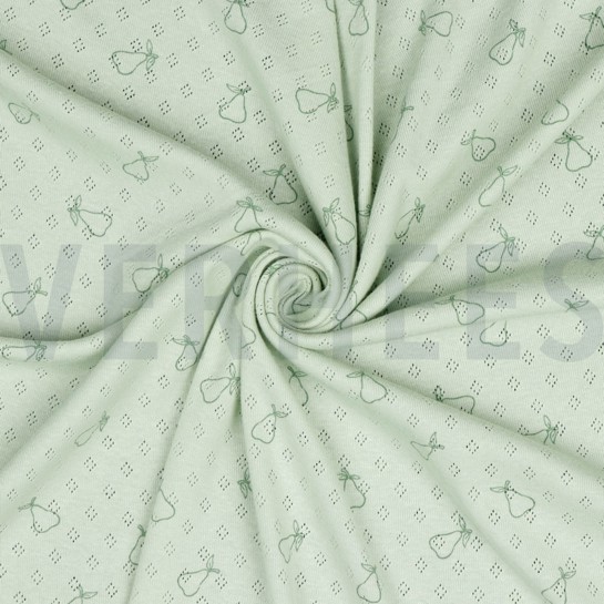 POINTOILLE PEER NILEGROEN #7