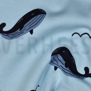 JOGGING WALVISSEN BLAUW (thumbnail) #2