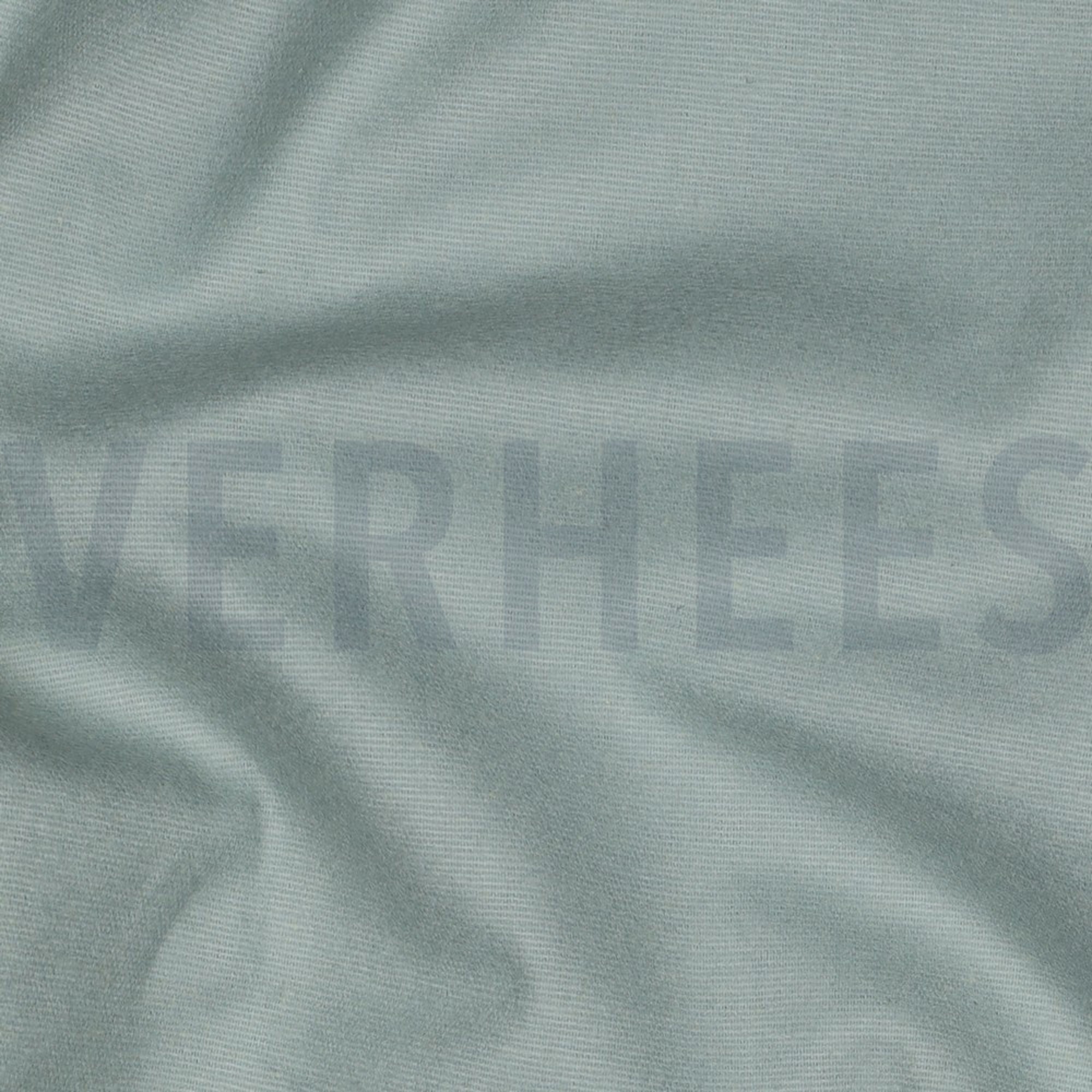 FLANEL MINT (high resolution) #2