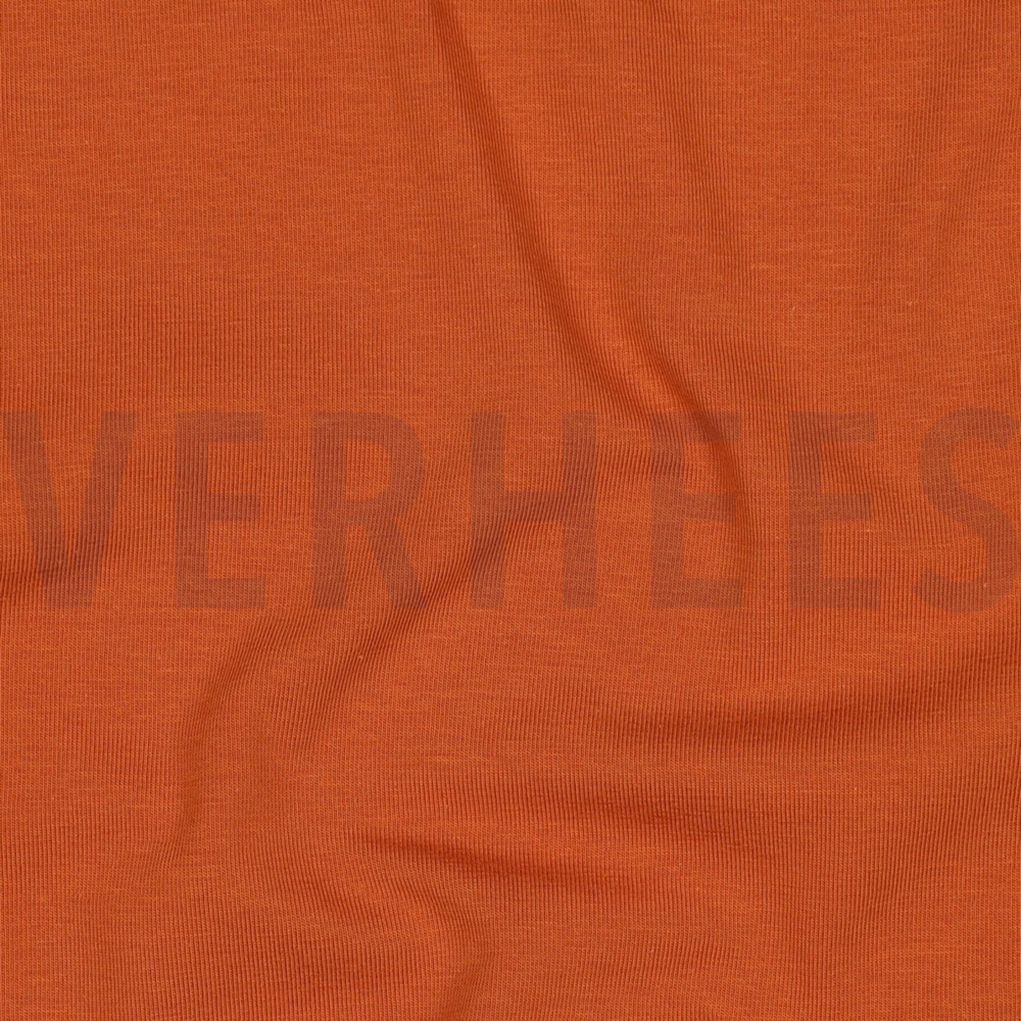 JERSEY GOTS BERNSTEIN (high resolution) #2