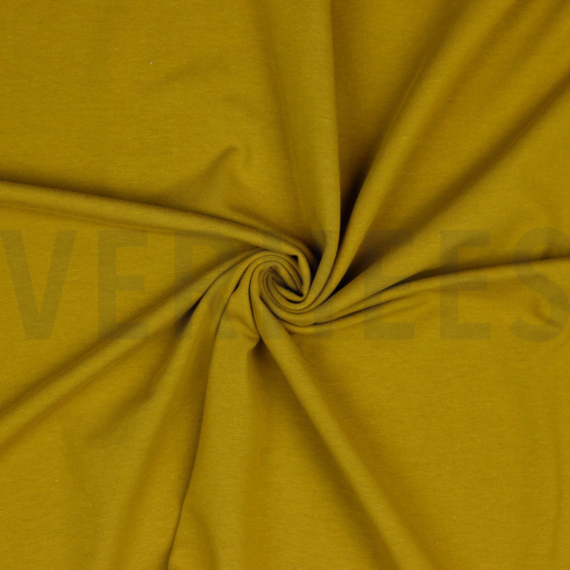 JERSEY GOTS OLIVE (high resolution) #2