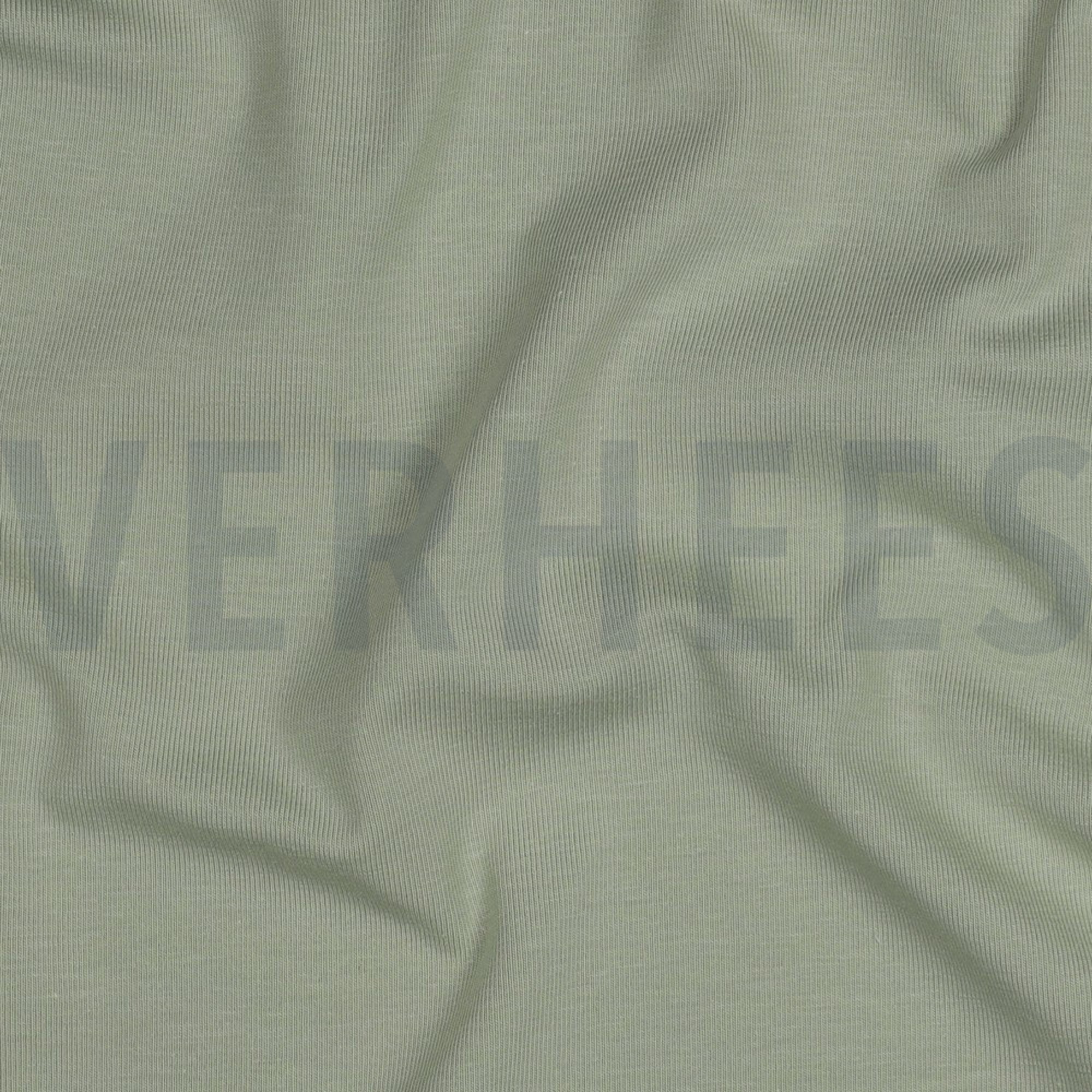 JERSEY GOTS SALIEGROEN (high resolution) #2