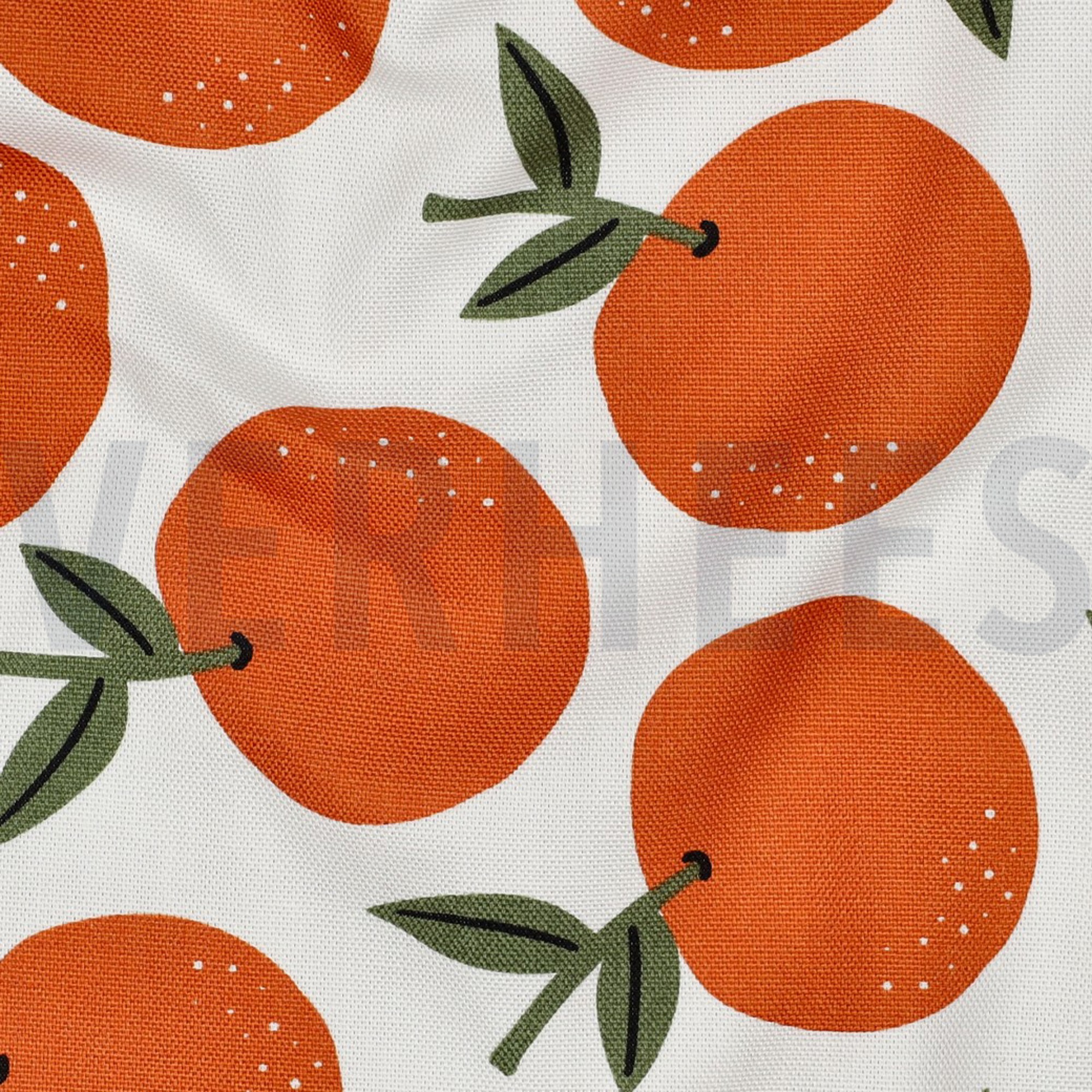 TOILE DÉCORATION FRUIT BLANC (high resolution) #2