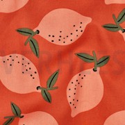TOILE DÉCORATION FRUIT ORANGE (thumbnail) #2