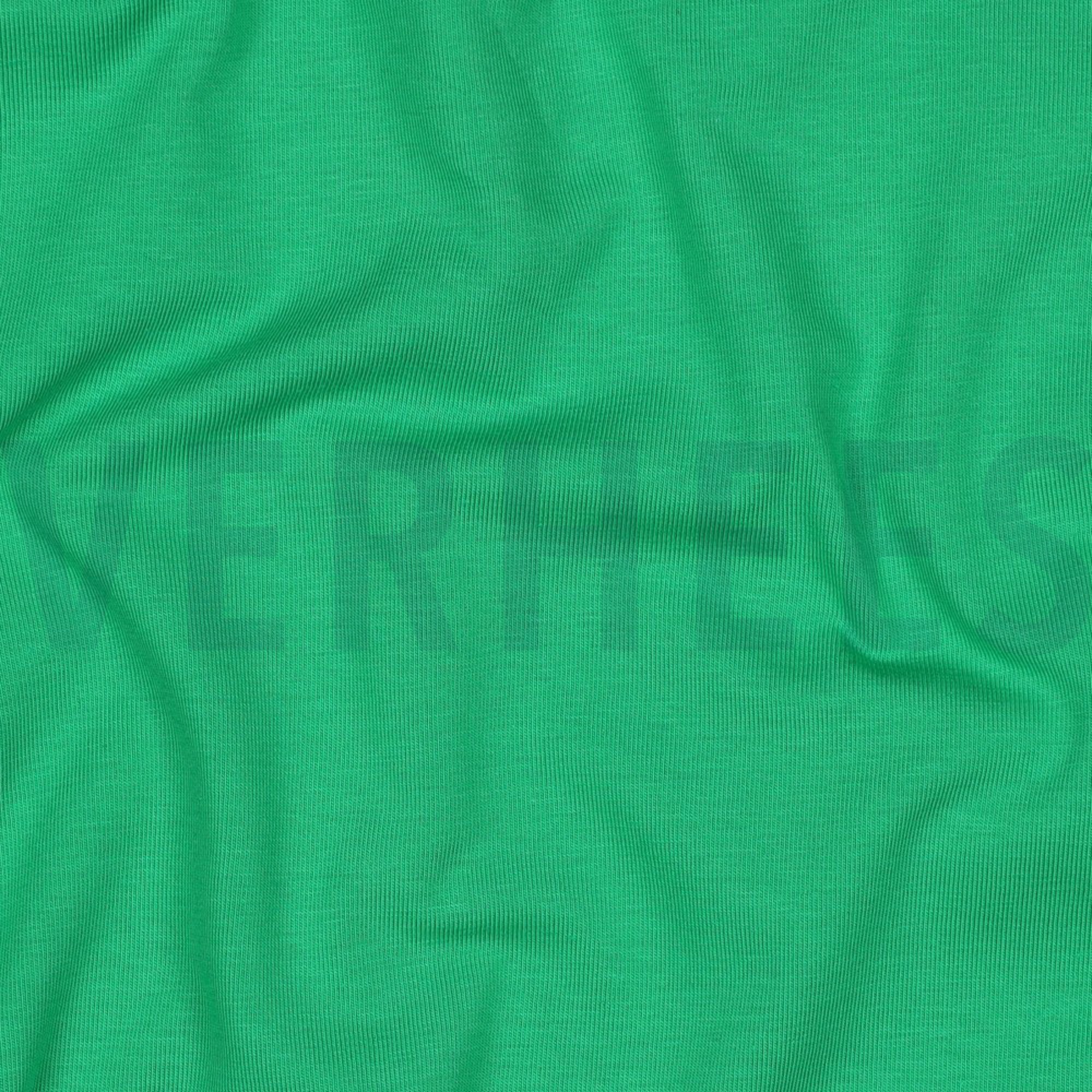 JERSEY APPEL GROEN (high resolution) #2