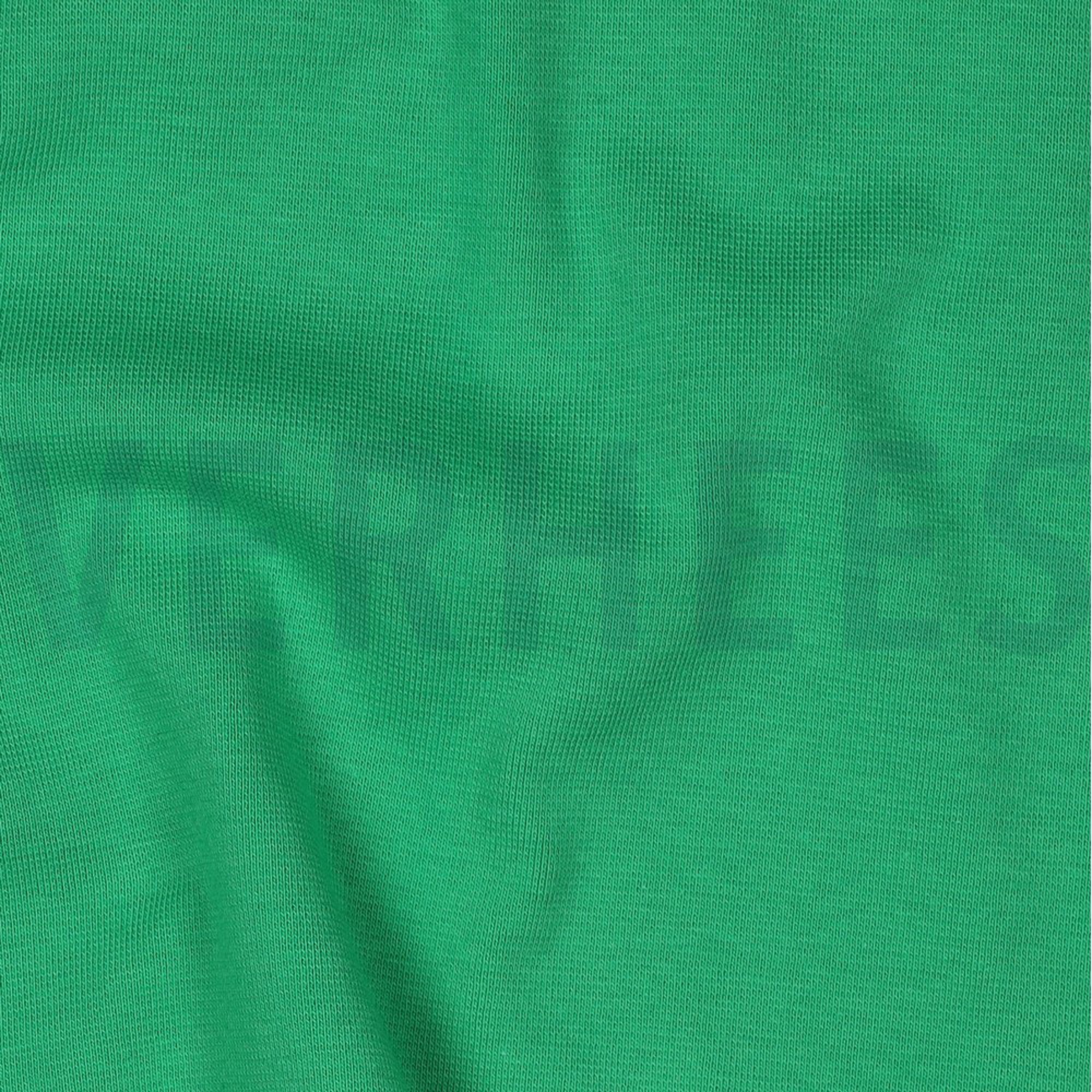 BÜNDCHEN APFELGRÜN (high resolution) #2