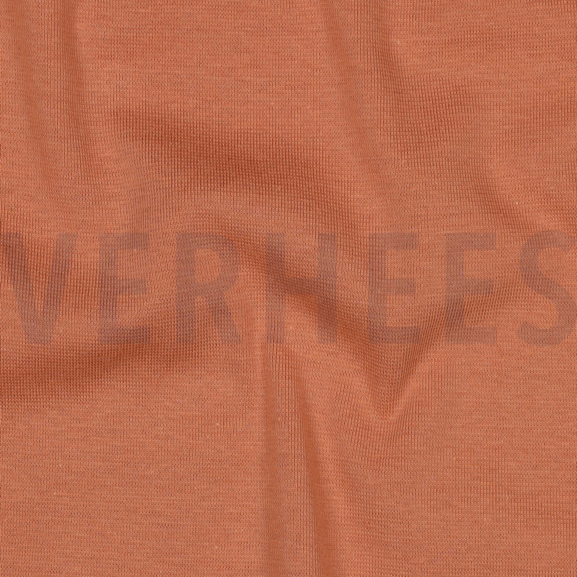 BÜNDCHEN LACHS (high resolution) #2