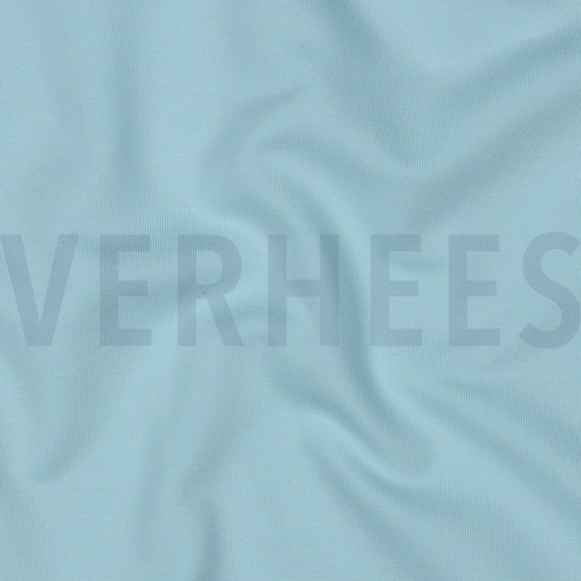 FRENCH TERRY GOTS LIGHT BLUE (high resolution) #2