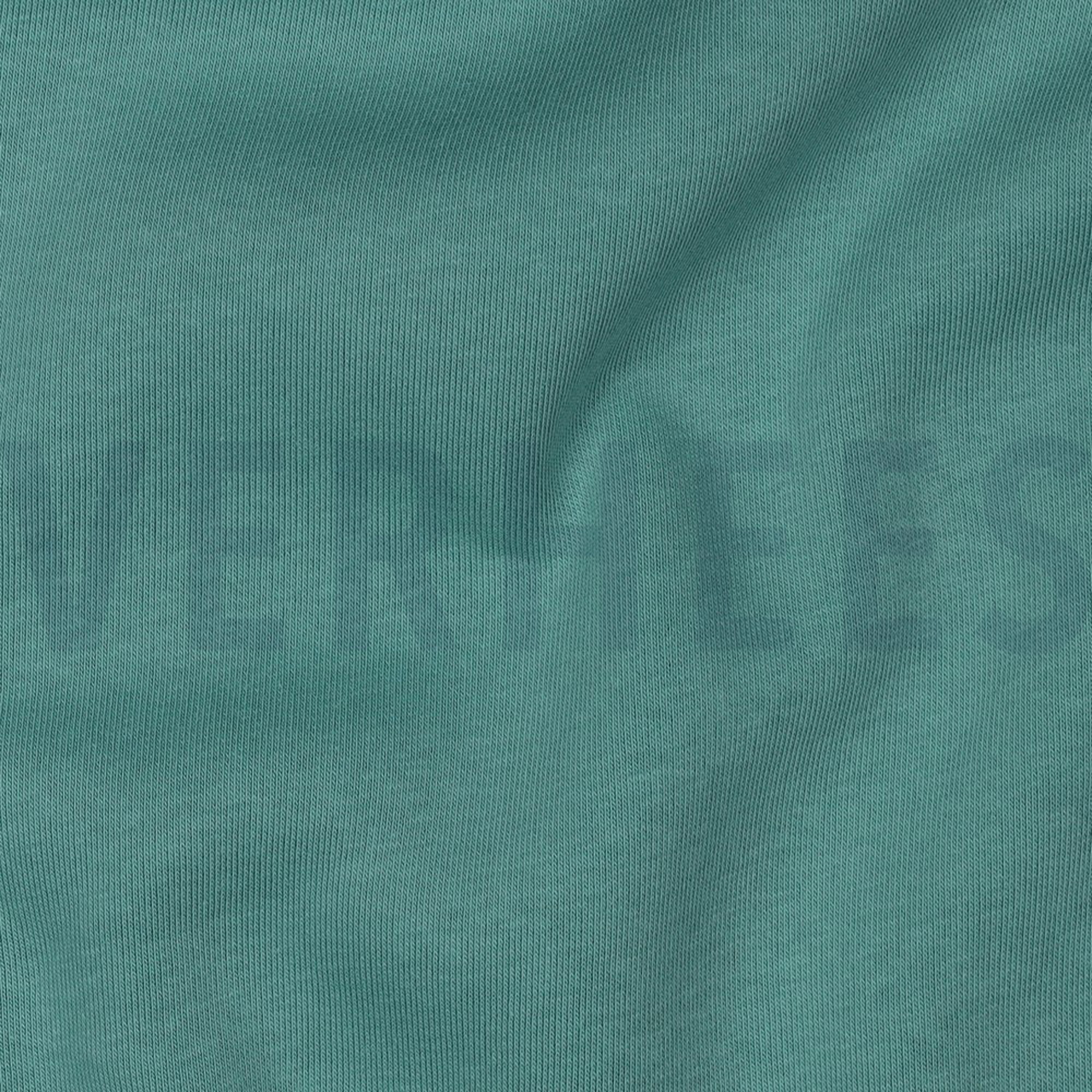 JOGGING DUNKEL MINZE (high resolution) #2