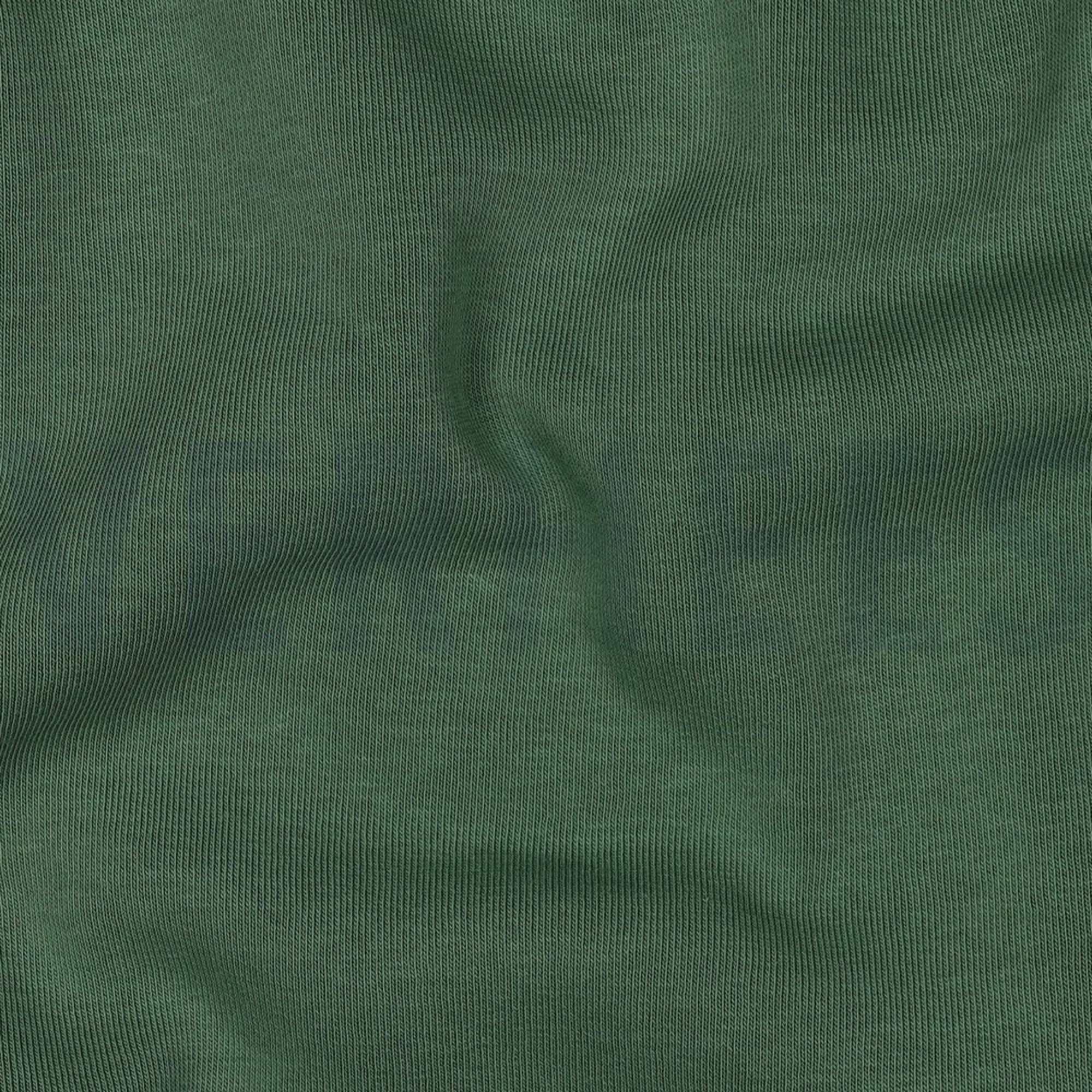 JOGGING WALDGRÜN (high resolution) #2